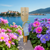 Funny Spices Have a good Day - feinkostgourmet